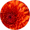 Sergi Ribas R. profile picture